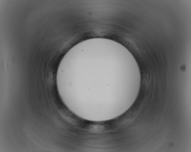 X0000090890220200708242009