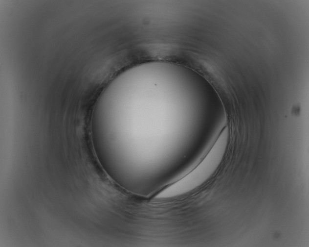 X0000090890221200708242009