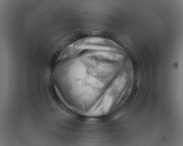 X0000090890222200708242009