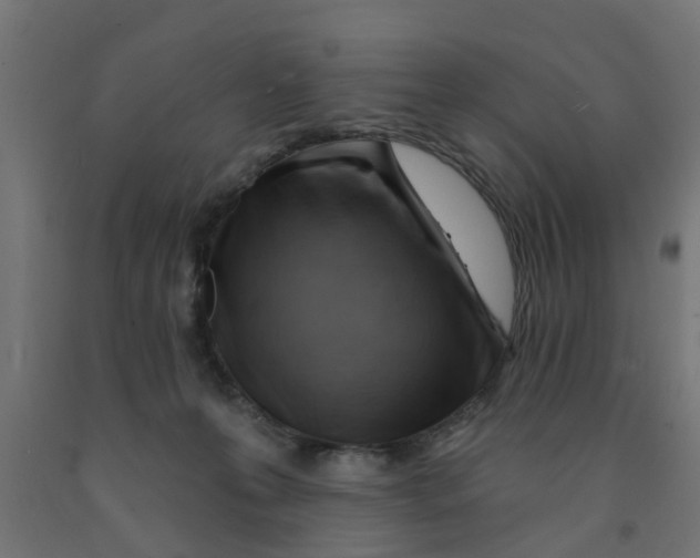 X0000090890223200708242009