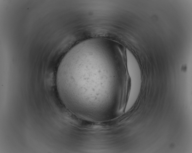 X0000090890224200708242009