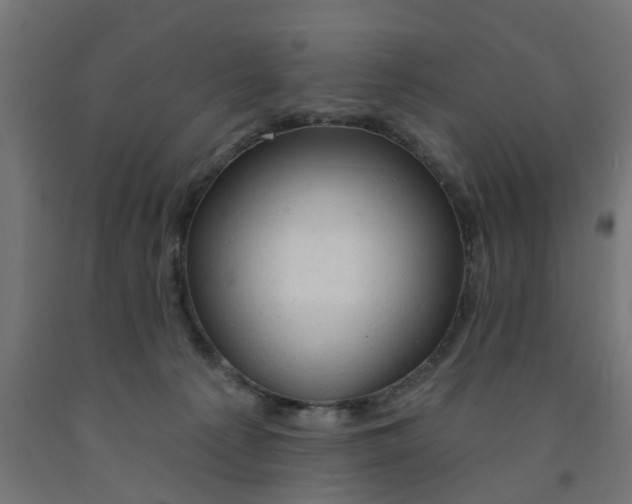 X0000090890225200708242009