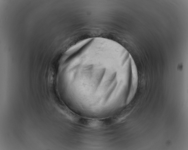 X0000090890226200708242009