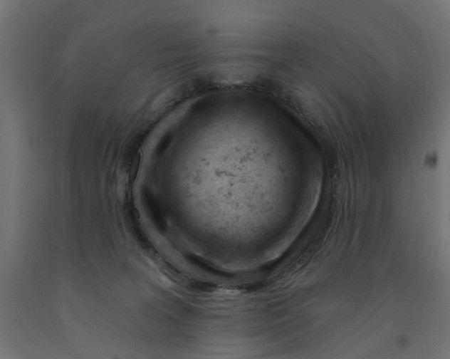 X0000090890227200708242009