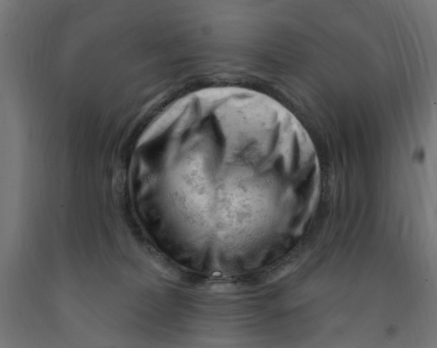 X0000090890228200708242009