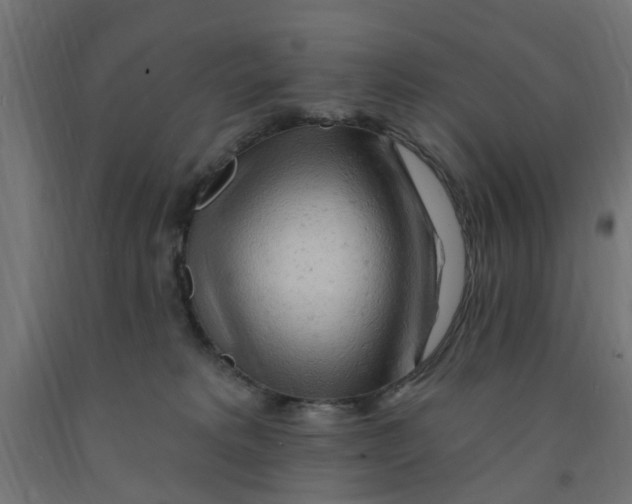 X0000090890229200708242008