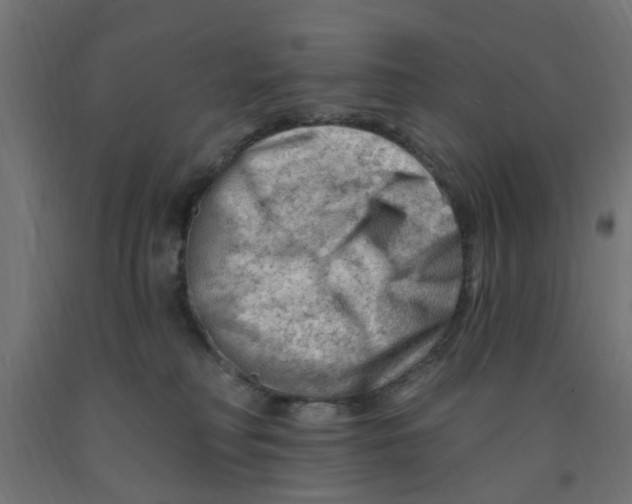 X0000090890230200708242008