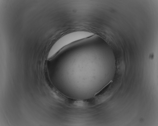 X0000090890231200708242008