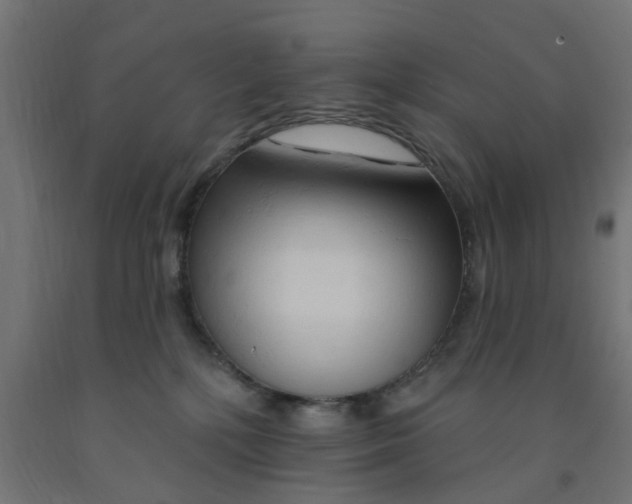 X0000090890232200708242008