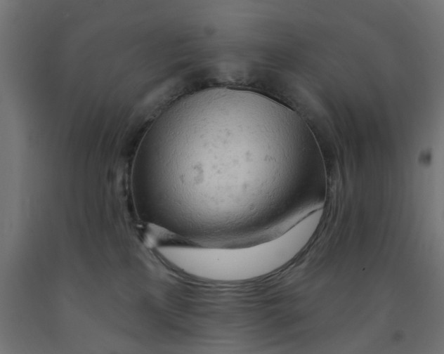 X0000090890233200708242008