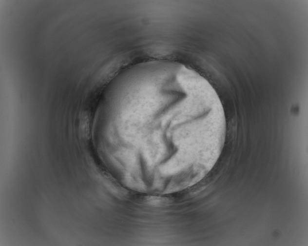 X0000090890234200708242008