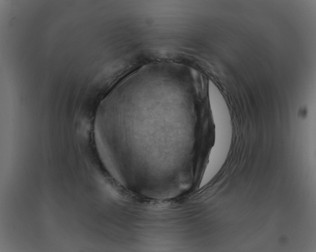 X0000090890235200708242008