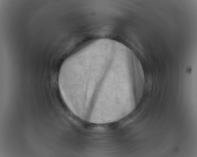 X0000090890236200708242008