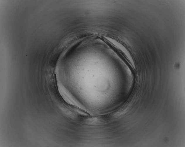 X0000090890237200708242008