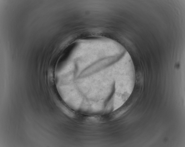 X0000090890238200708242008