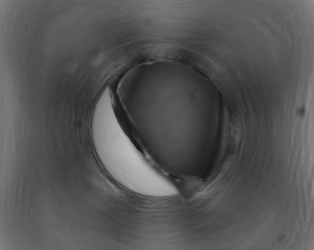 X0000090890239200708242008