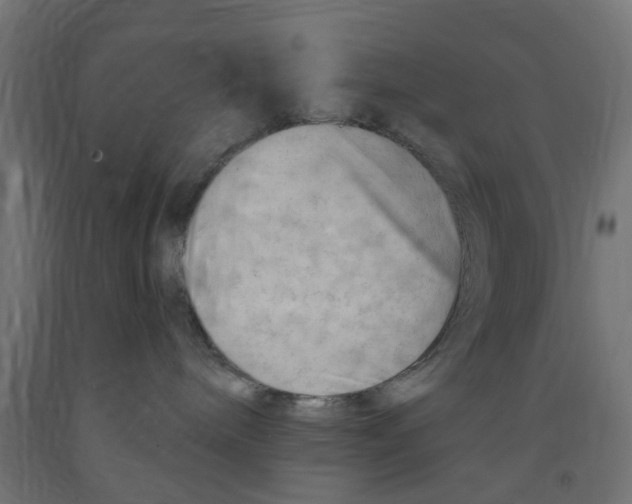 X0000090890240200708242008