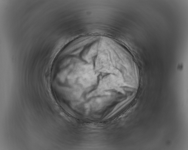 X0000090890241200708242008