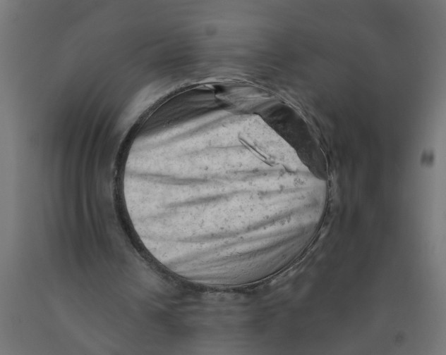 X0000090890242200708242008