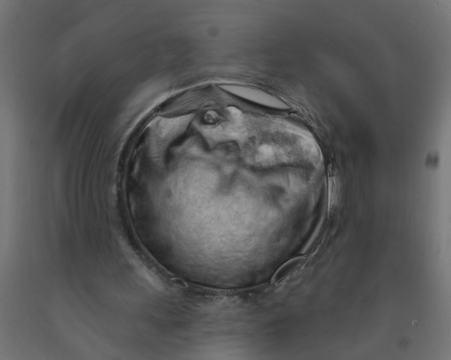 X0000090890243200708242008