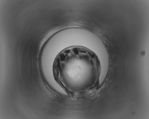 X0000090890244200708242008