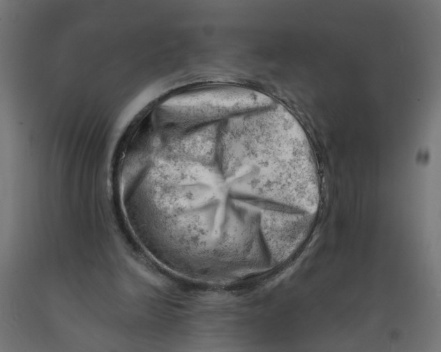 X0000090890246200708242008