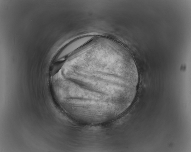 X0000090890247200708242008