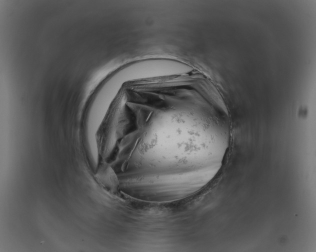 X0000090890248200708242008