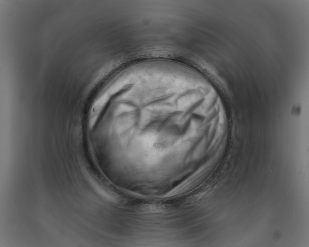 X0000090890250200708242008