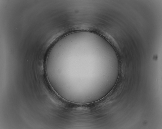 X0000090890251200708242008