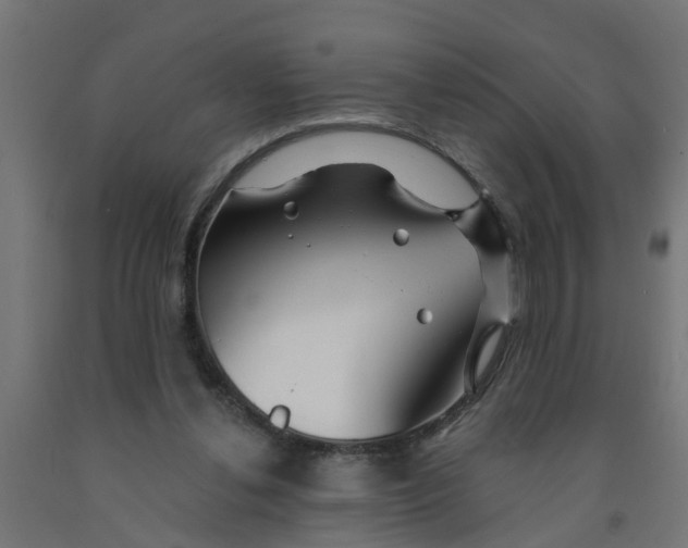 X0000090890252200708242008