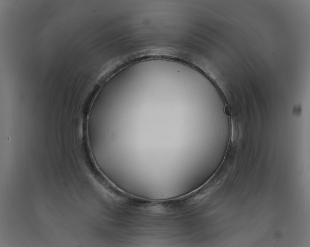 X0000090890253200708242008