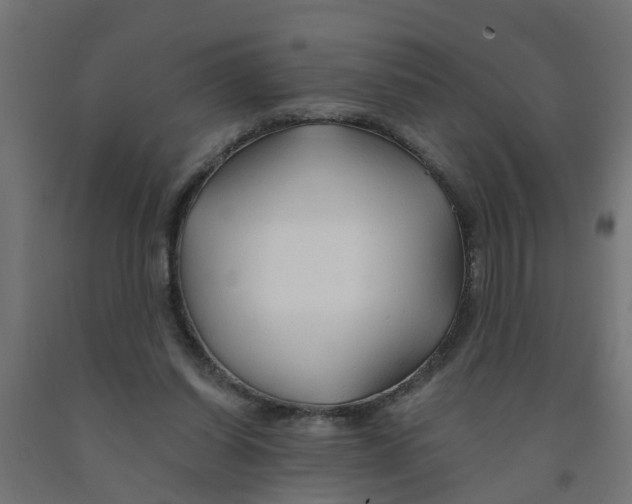 X0000090890254200708242008