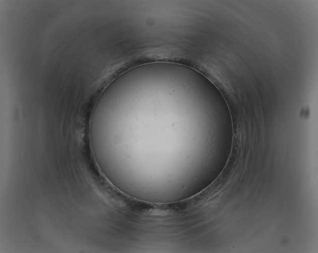 X0000090890255200708242008