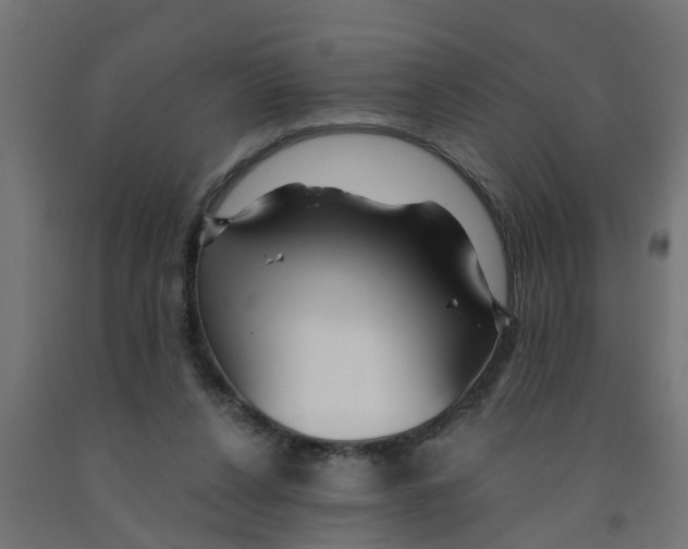 X0000090890256200708242008