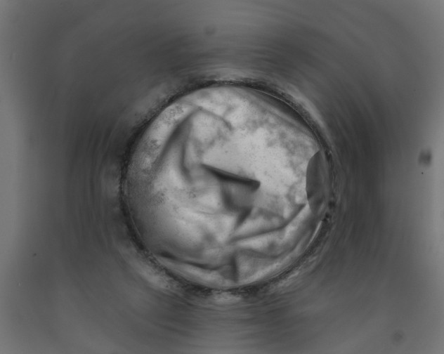 X0000090890257200708242008