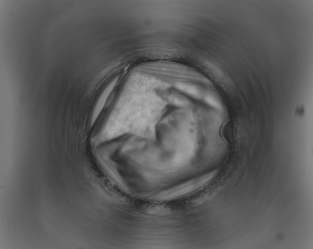 X0000090890258200708242008