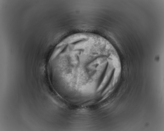 X0000090890259200708242008