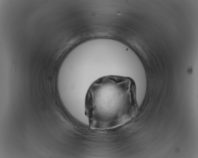 X0000090890260200708242008