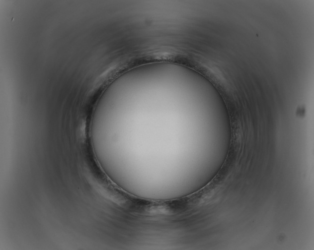 X0000090890262200708242008