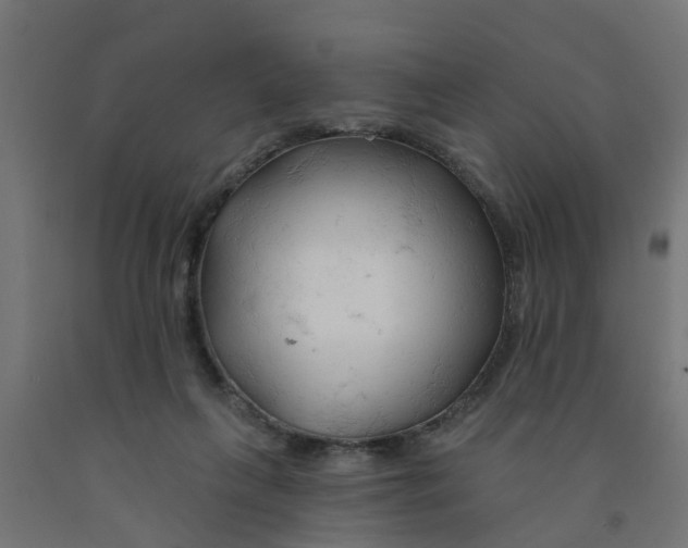 X0000090890263200708242008