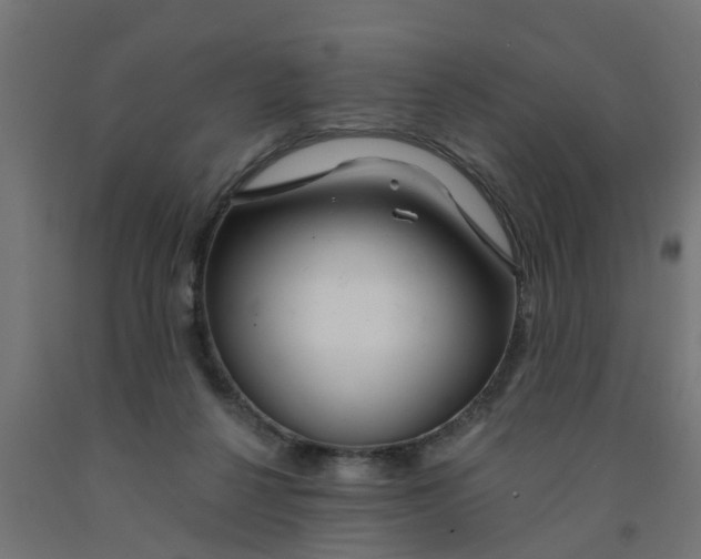 X0000090890264200708242008