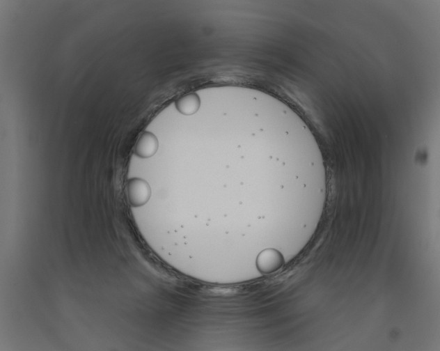 X0000090890265200708242008