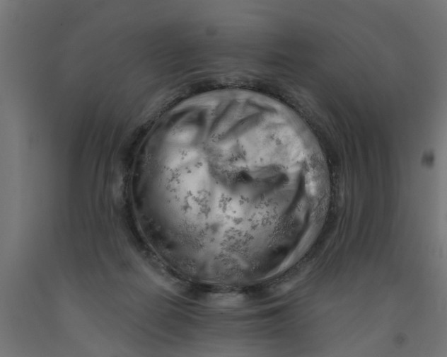 X0000090890266200708242008