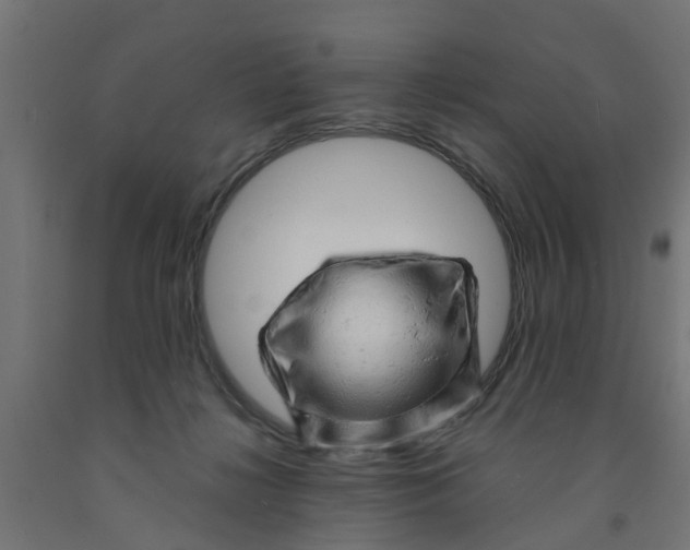 X0000090890268200708242008