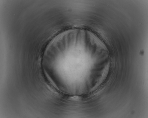 X0000090890269200708242008