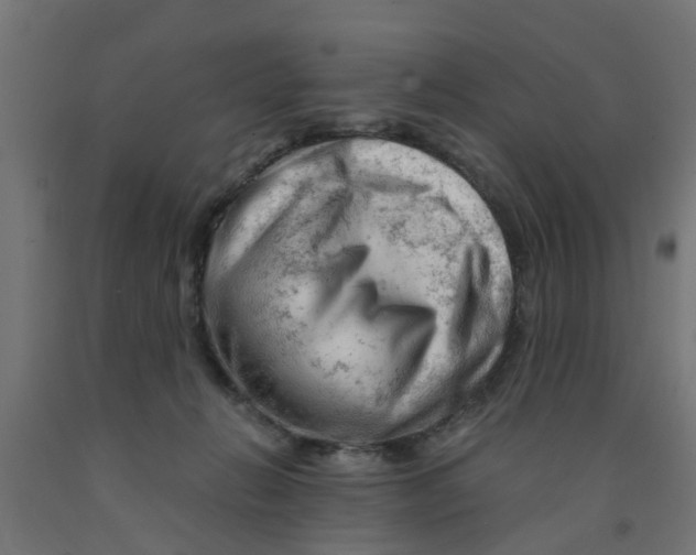 X0000090890270200708242008