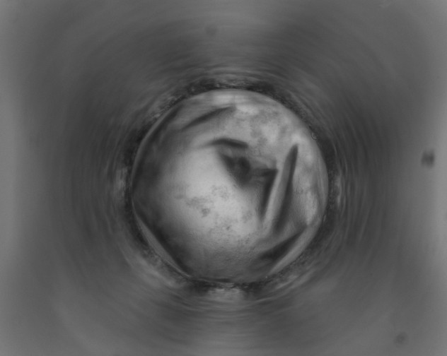 X0000090890271200708242008