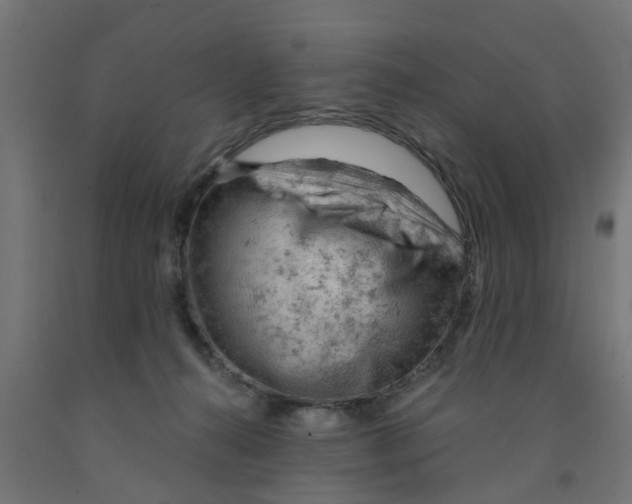 X0000090890272200708242008