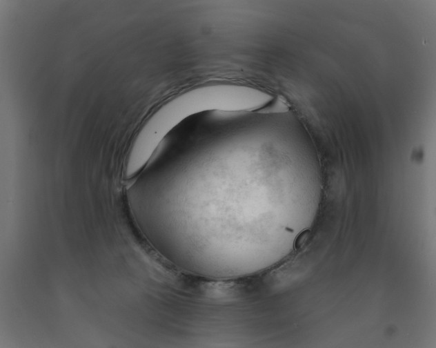 X0000090890273200708242008